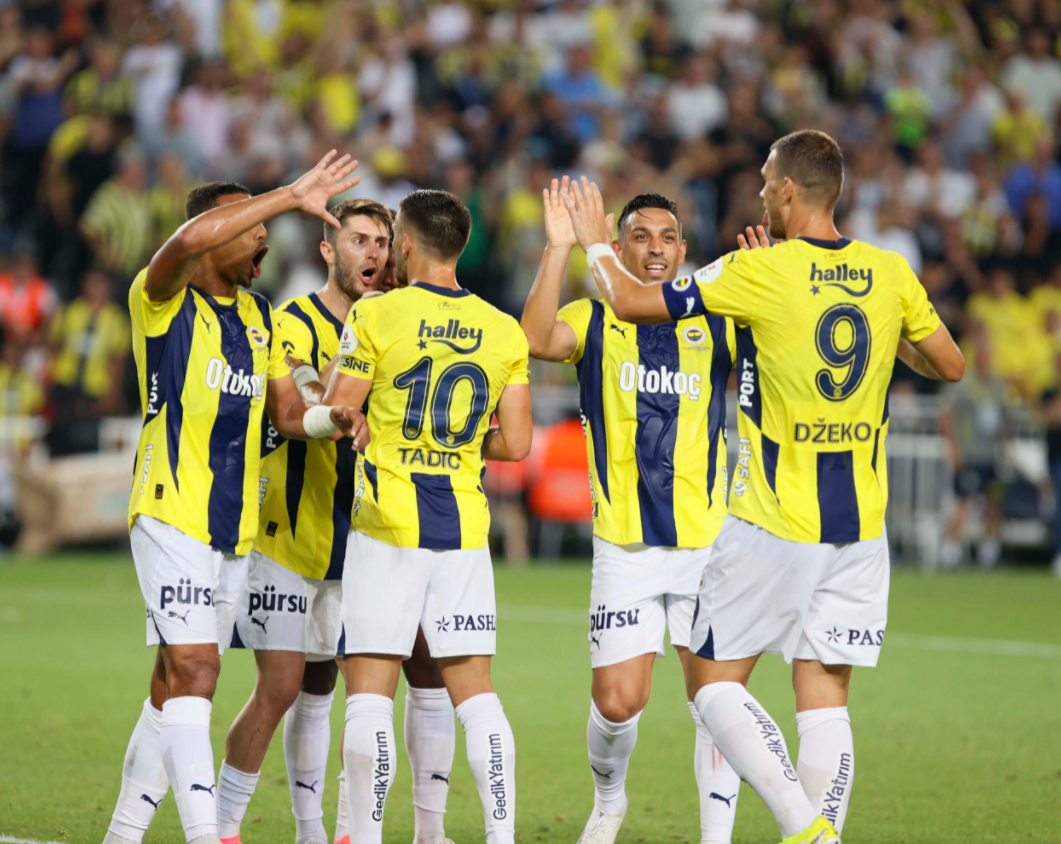 开云体育app-德国队险胜波兰队，波尔惊艳四座