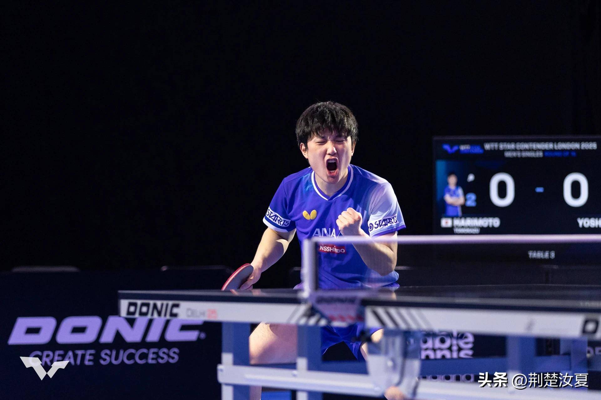 关于中国队轻取波兰队，张本智和扛起全队的信息